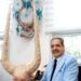 Viceministro Cultura Pastor De Moya asegura El carnaval es la mayor manifestación del derecho a la alegría del pueblo dominicano