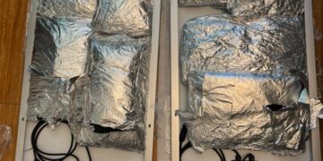 Incautan 8 paquetes de marihuana camuflados en paneles solares