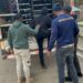 Migración deportó 67,940 indocumentados en enero y febrero 2026 por frontera con Haití
