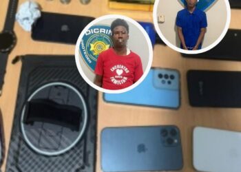 DICRIM apresa a “Genial”, “Campe” y otros por distintos delitos; ocupa arma ilegal y recupera objetos sustraídos en Villa Mella, SDN
