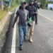DGM deporta 1,239 y detiene 1,197 indocumentados, Fuerzas Armadas y Policía entregan 468