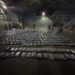 Decomisan otro cargamento de maas de 1,100 paquetes de Marihuana en Puerto Plata