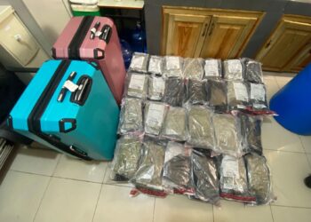 Intervienen dos maletas cargadas de marihuana Aeropuerto Punta Cana