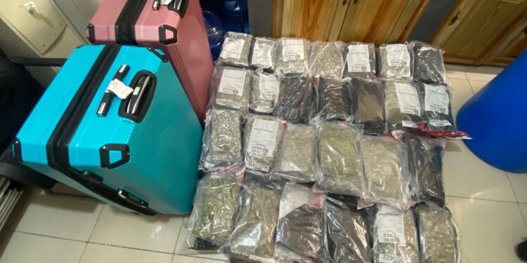 Intervienen dos maletas cargadas de marihuana Aeropuerto Punta Cana