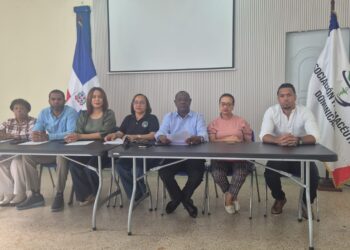 Gremios sector Salud solicitan reunión urgente con el presidente Luis Abinader