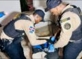 DNCD incauta miles de gramos en allanamientos e intervenciones en Santo Domingo Oeste