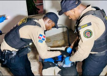DNCD incauta miles de gramos en allanamientos e intervenciones en Santo Domingo Oeste
