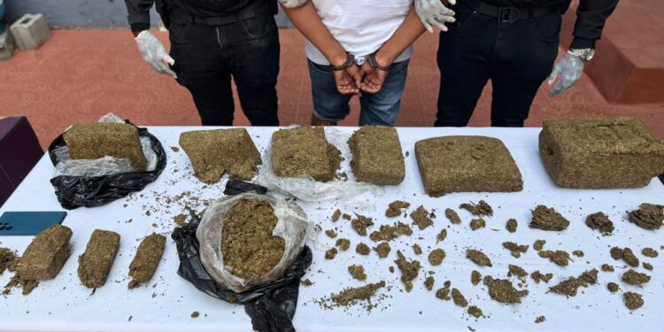 Policía Nacional ocupa siete paquetes de presunta marihuana, incauta 16 máquinas tragamonedas y arresta a un hombre durante operativo en Capotillo, DN.
